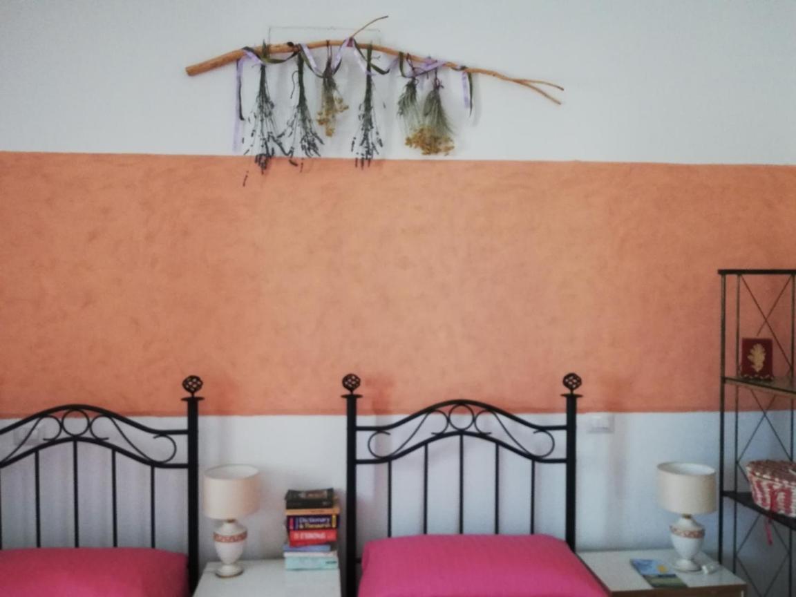 Insula -- Telti Hotel Luaran gambar